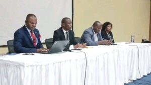 NAP rates Mutharika positive in year one but calls him to address fuel wooes